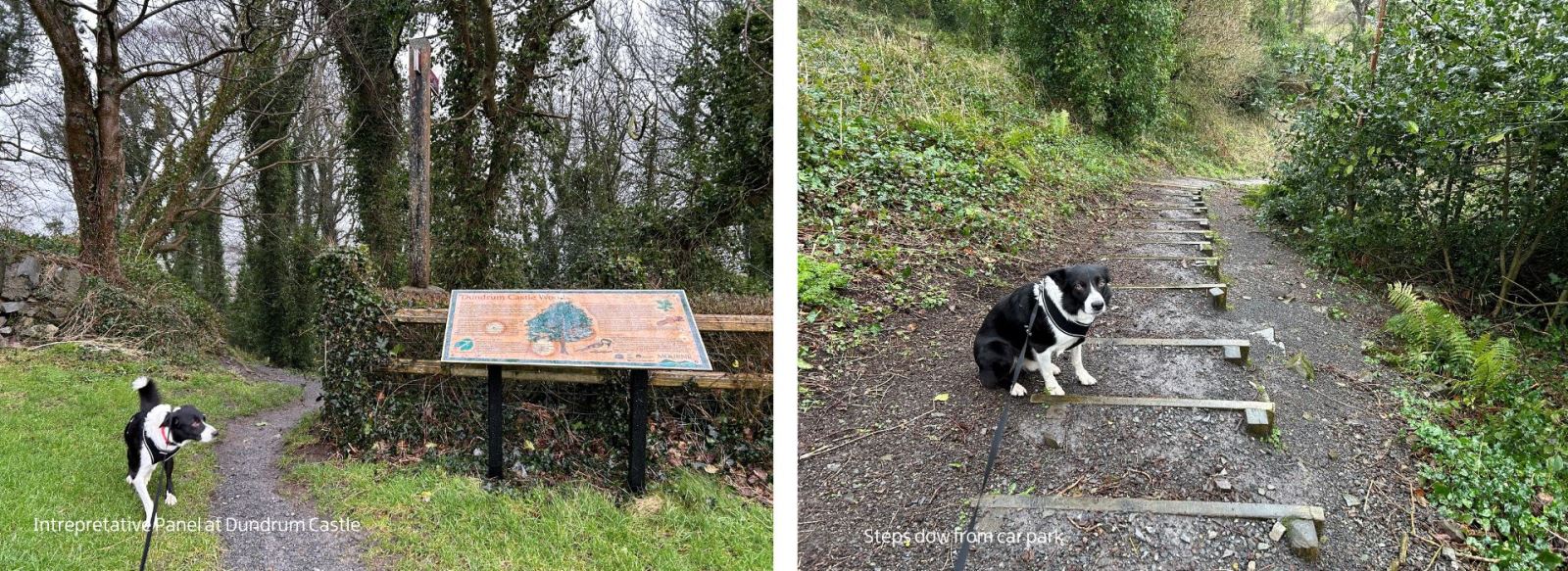 Route from Dundrum Castle Car Park